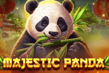 Sảnh đặt cược thể thao hutclub hiển thị trên màn hình điện thoại